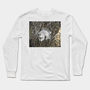 Delmarva Fox Squirrel, wildlife photography, wild animals Long Sleeve T-Shirt